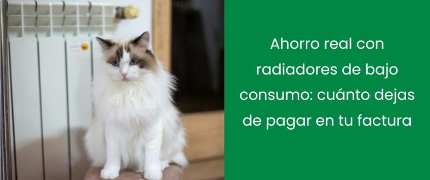 Radiador eléctrico bajo consumo: ¿cuánto baja tu factura al mes?