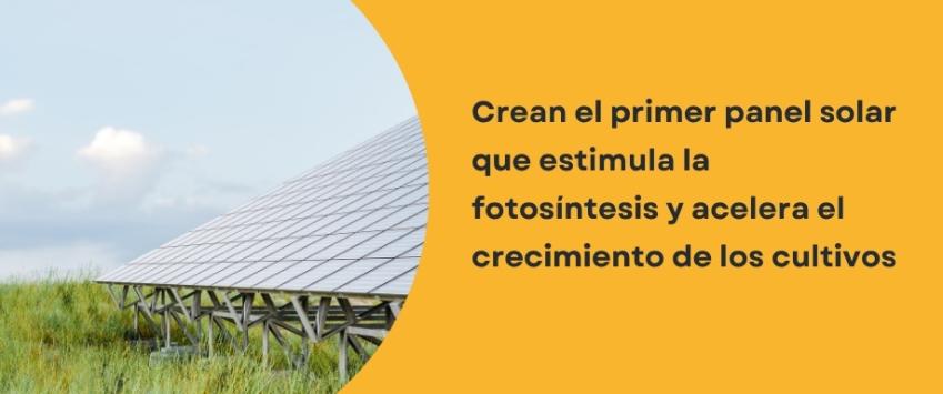 Crean el primer panel que estimula la fotosíntesis y acelera el crecimiento de los cultivos