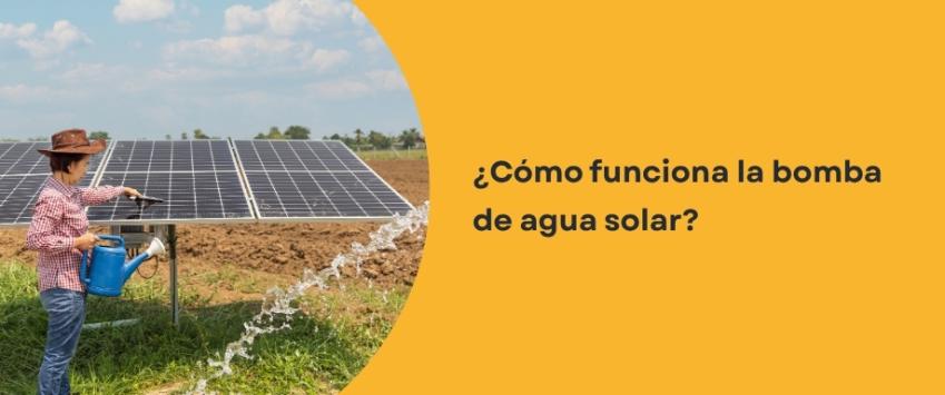 ¿Cómo funciona la bomba de agua solar?
