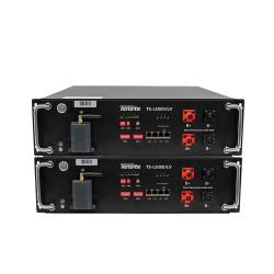 Pack 2 unidades de Baterías para Placas Solares Tensite 48V TS-L5000/LV de litio