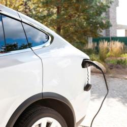 Cargador coche eléctrico Woltio Pro 5m 7,4kW con pinza