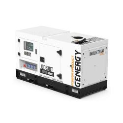 Generador Diésel Insonorizado Trifásico 10kva Genergy GDS10T
