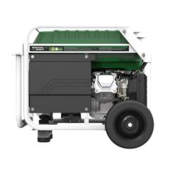 Generador Gas 3000W Genergy Natura
