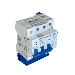 Interruptor Automático 2 Polos con Protección de Sobretensión SOST2 32A