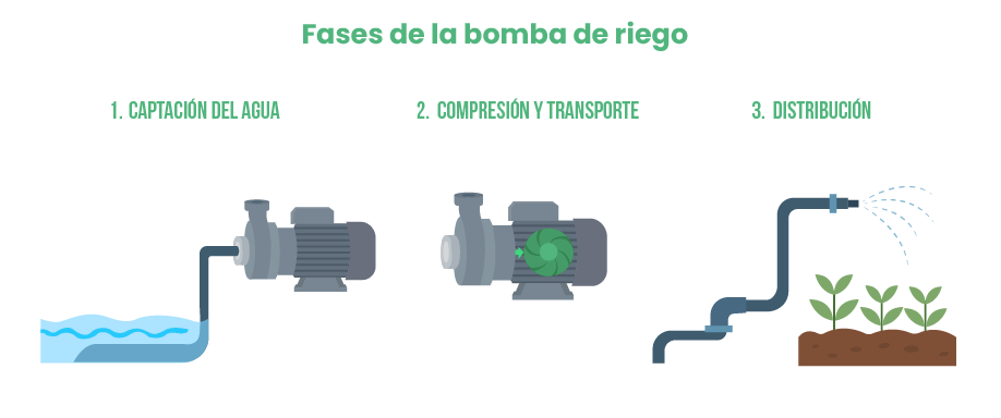 Fases de la bomba de riego