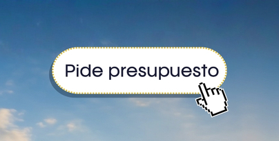 Pide Presupuesto